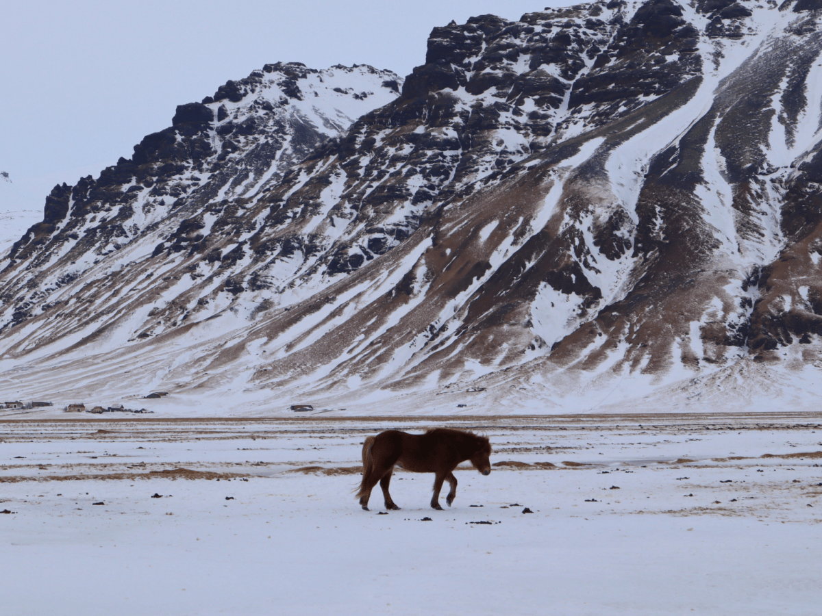 A tour around Iceland’s South&nbsp;Coast